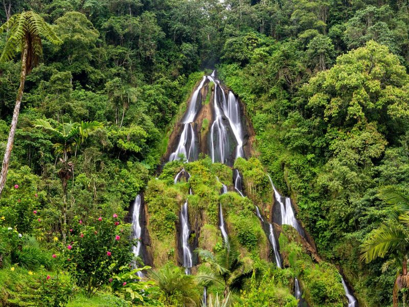 Reserva los mejores tours, actividades y atracciones turísticas de Colombia