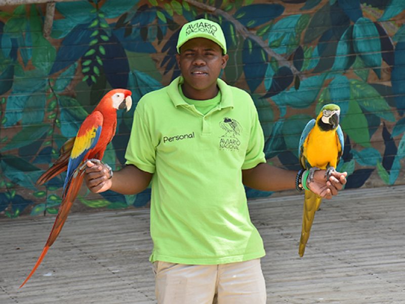 tour por el Aviario Nacional de Colombia