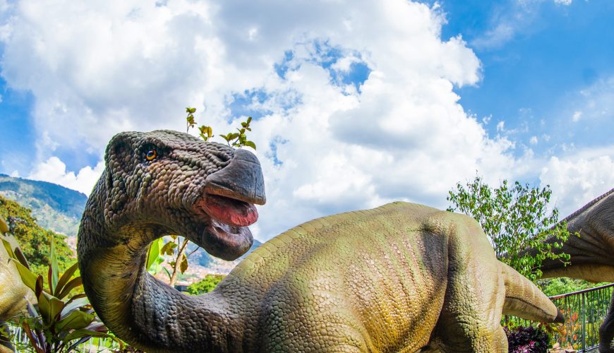 Reserva los mejores tours, actividades y atracciones turísticas de Colombia
