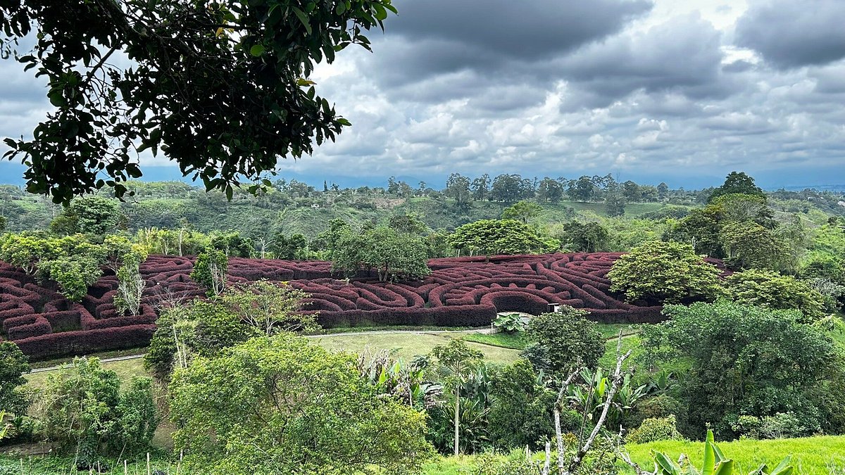 Laberinto Mil Caminos