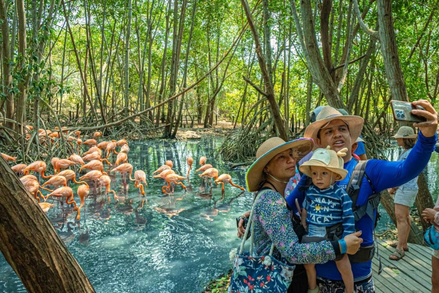 Cómo llegar al aviario de Cartagena en bus