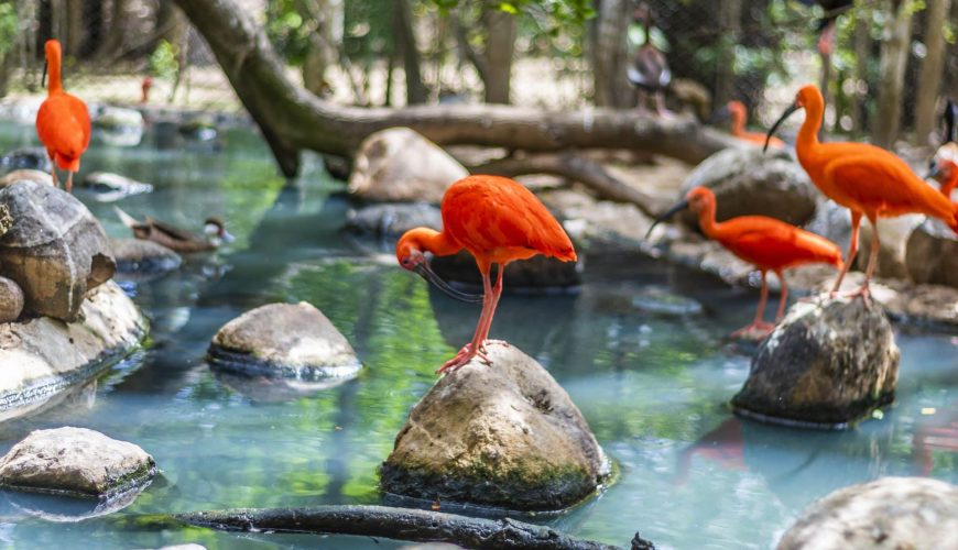 Reserva los mejores tours, actividades y atracciones turísticas de Colombia