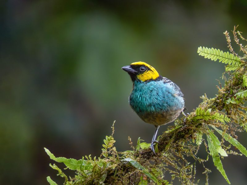 Reserva los mejores tours, actividades y atracciones turísticas de Colombia