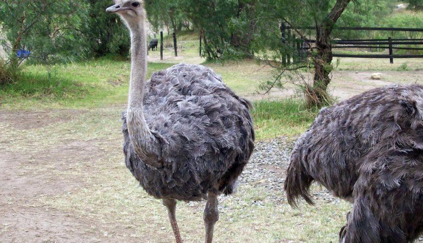 Reserva los mejores tours, actividades y atracciones turísticas de Colombia