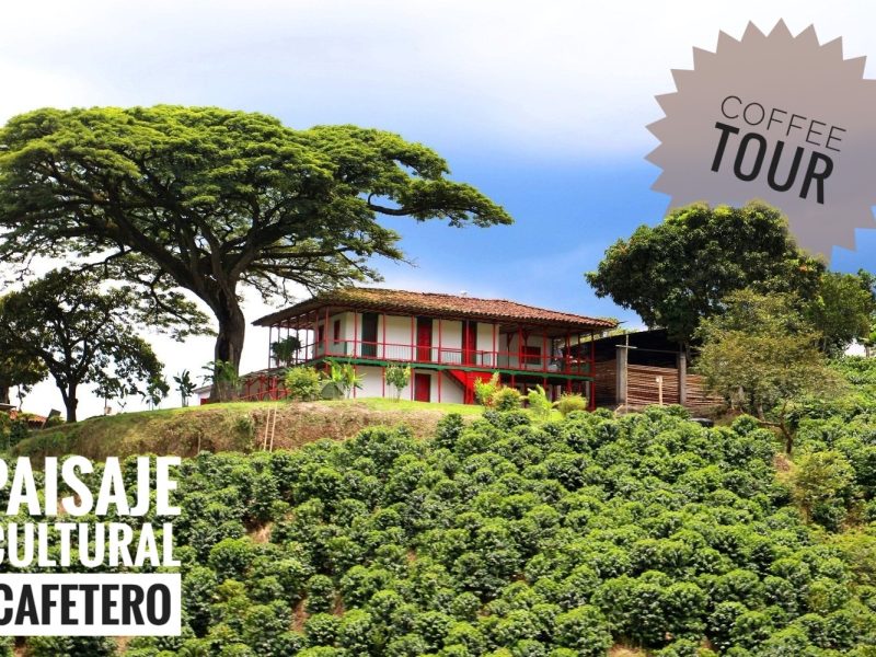 Reserva los mejores tours, actividades y atracciones turísticas de Colombia