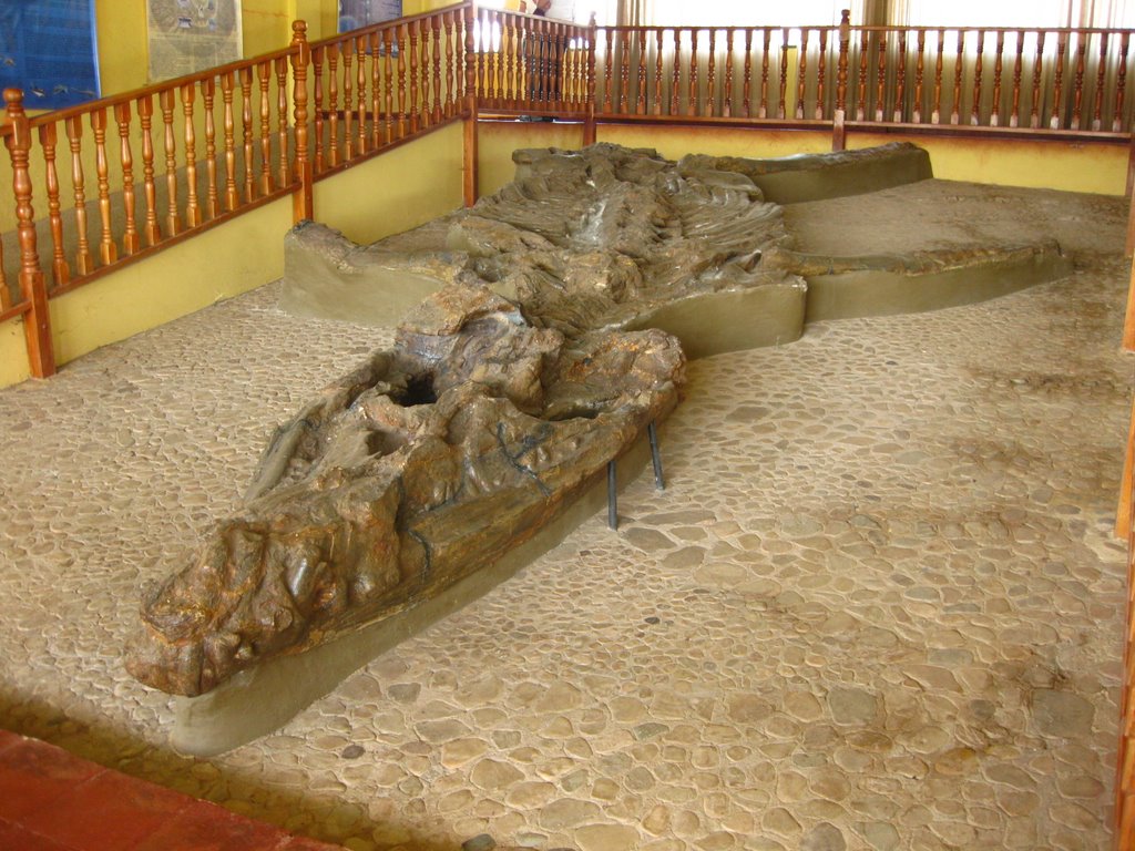 Museo arqueológico de Villa de Leyva