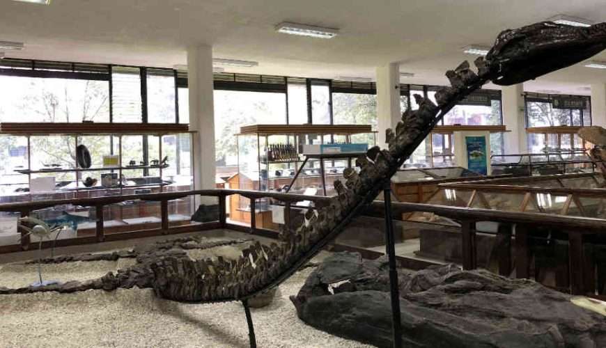 Museo arqueológico de Villa de Leyva