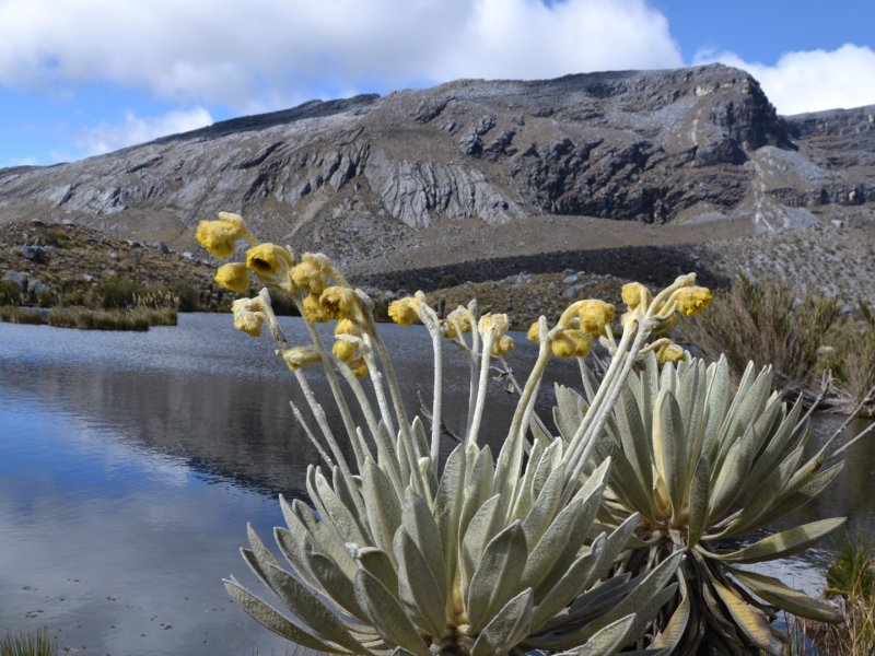 Reserva los mejores tours, actividades y atracciones turísticas de Colombia