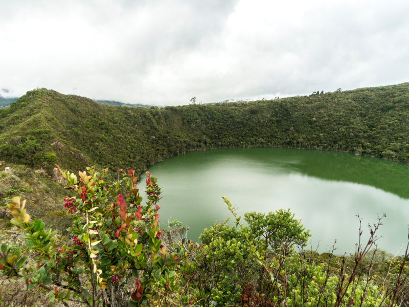 Reserva los mejores tours, actividades y atracciones turísticas de Colombia