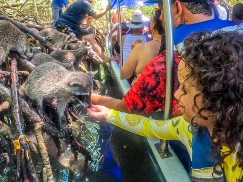 Reserva los mejores tours, actividades y atracciones turísticas de Colombia