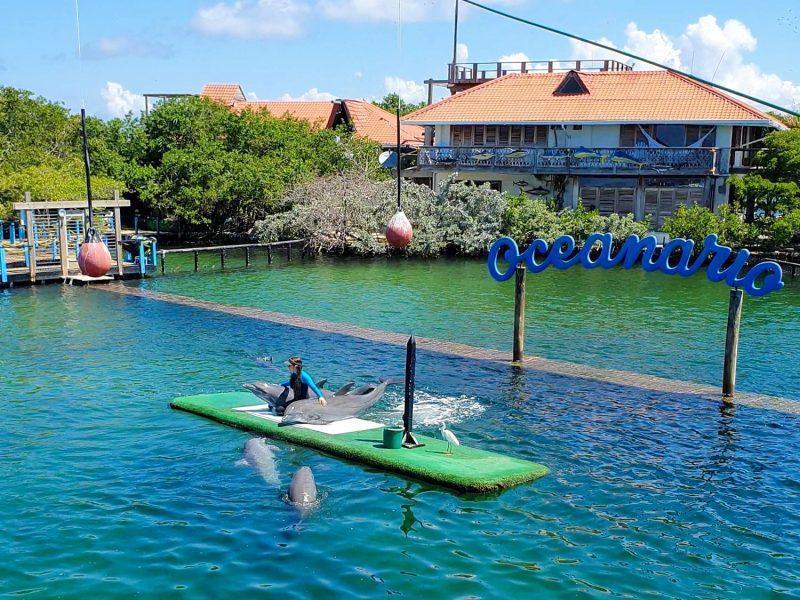 Reserva los mejores tours, actividades y atracciones turísticas de Colombia