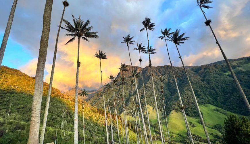 dónde queda el Valle de Cocora