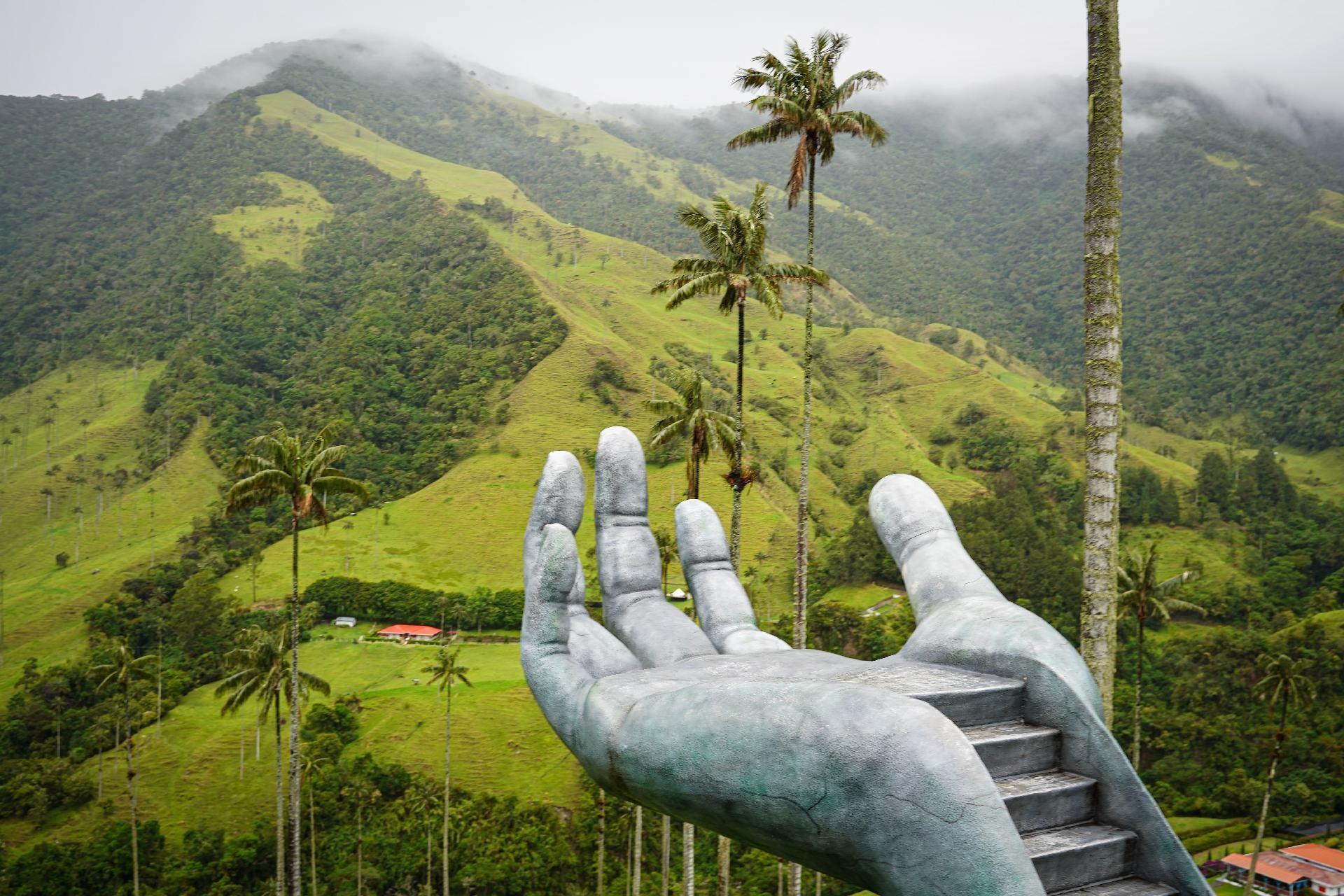 dónde queda el Valle de Cocora
