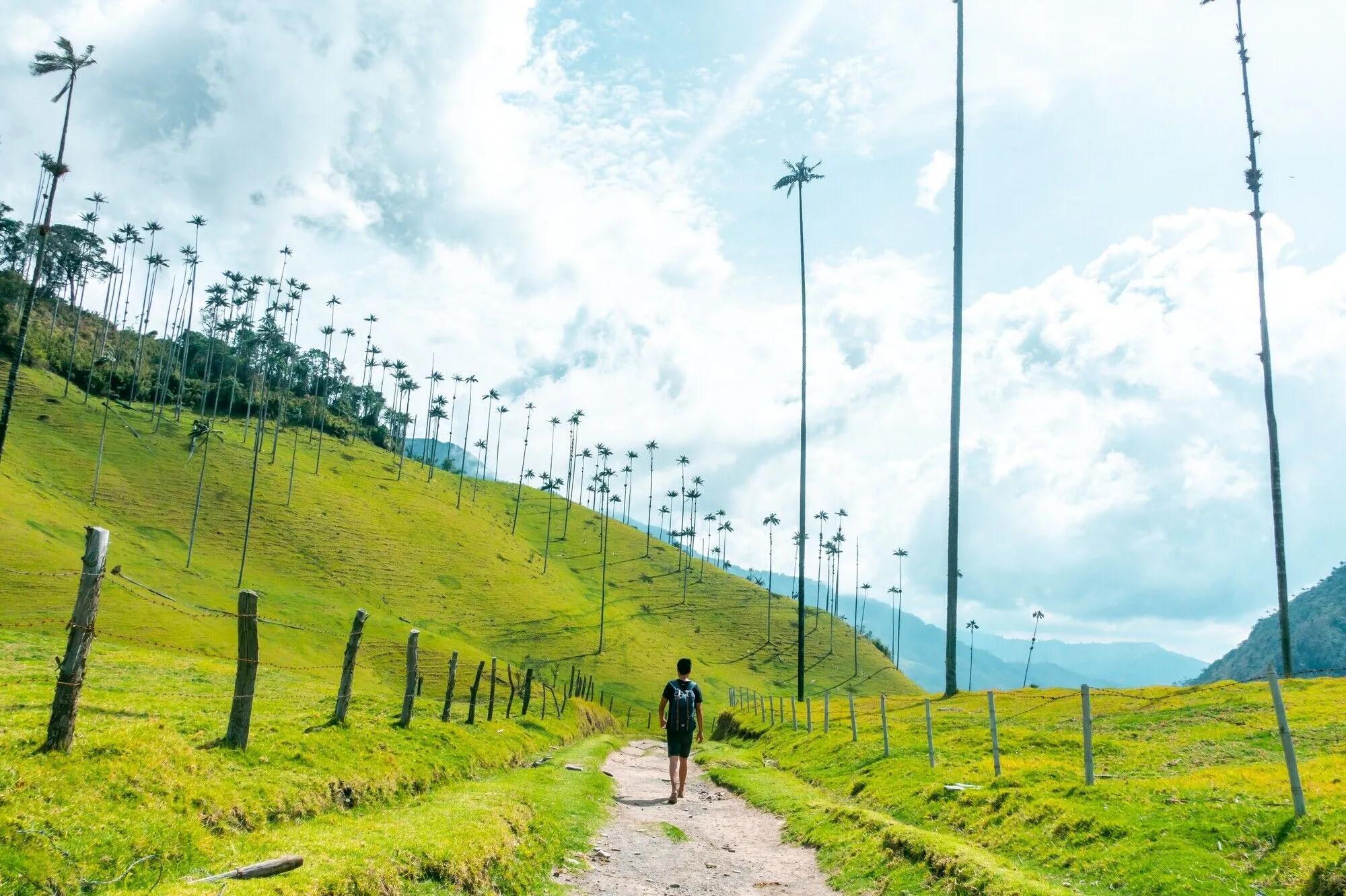 dónde queda el Valle de Cocora