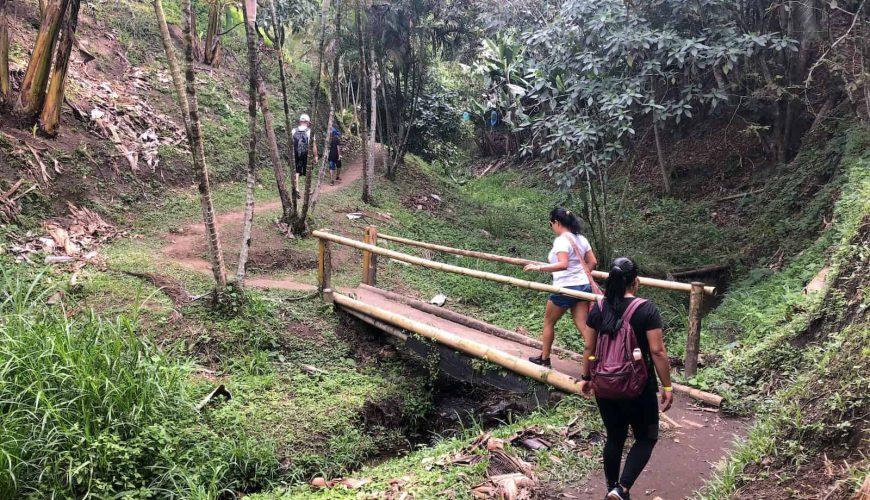 Reserva los mejores tours, actividades y atracciones turísticas de Colombia