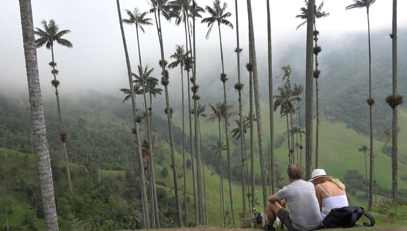 Cómo llegar al Valle del Cocora