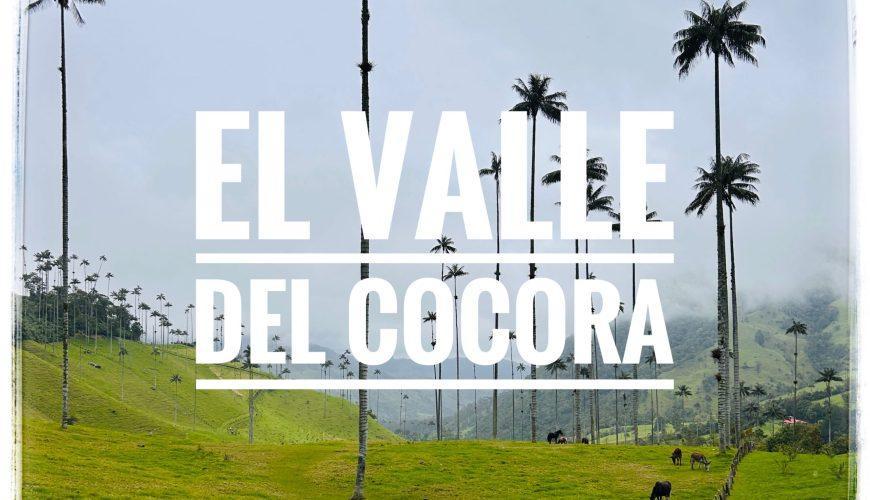 Reserva los mejores tours, actividades y atracciones turísticas de Colombia
