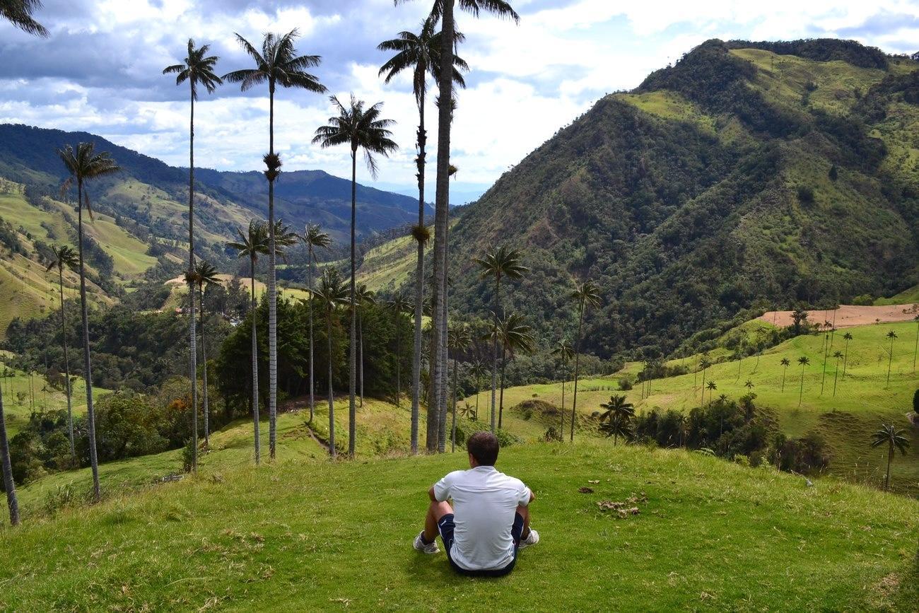 Datos curiosos del Valle del Cocora