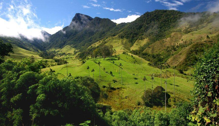 Datos curiosos del Valle del Cocora
