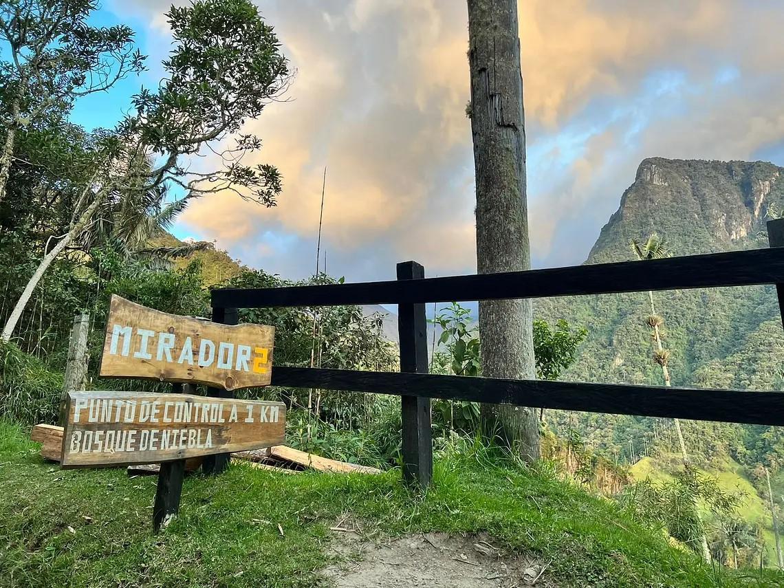 Datos curiosos del Valle del Cocora
