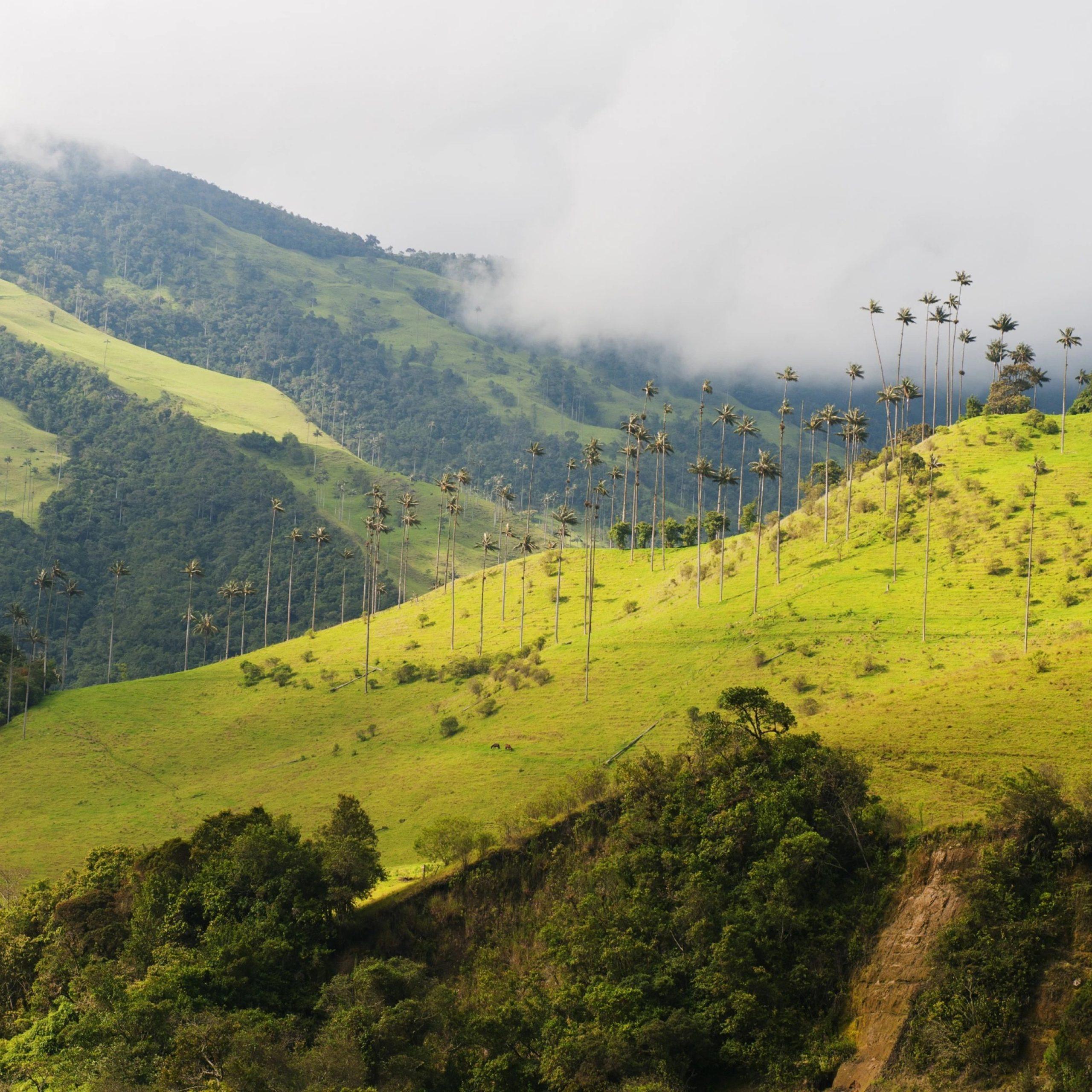 Dónde queda Quindío en Colombia