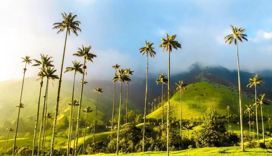 salento y valle del cocora