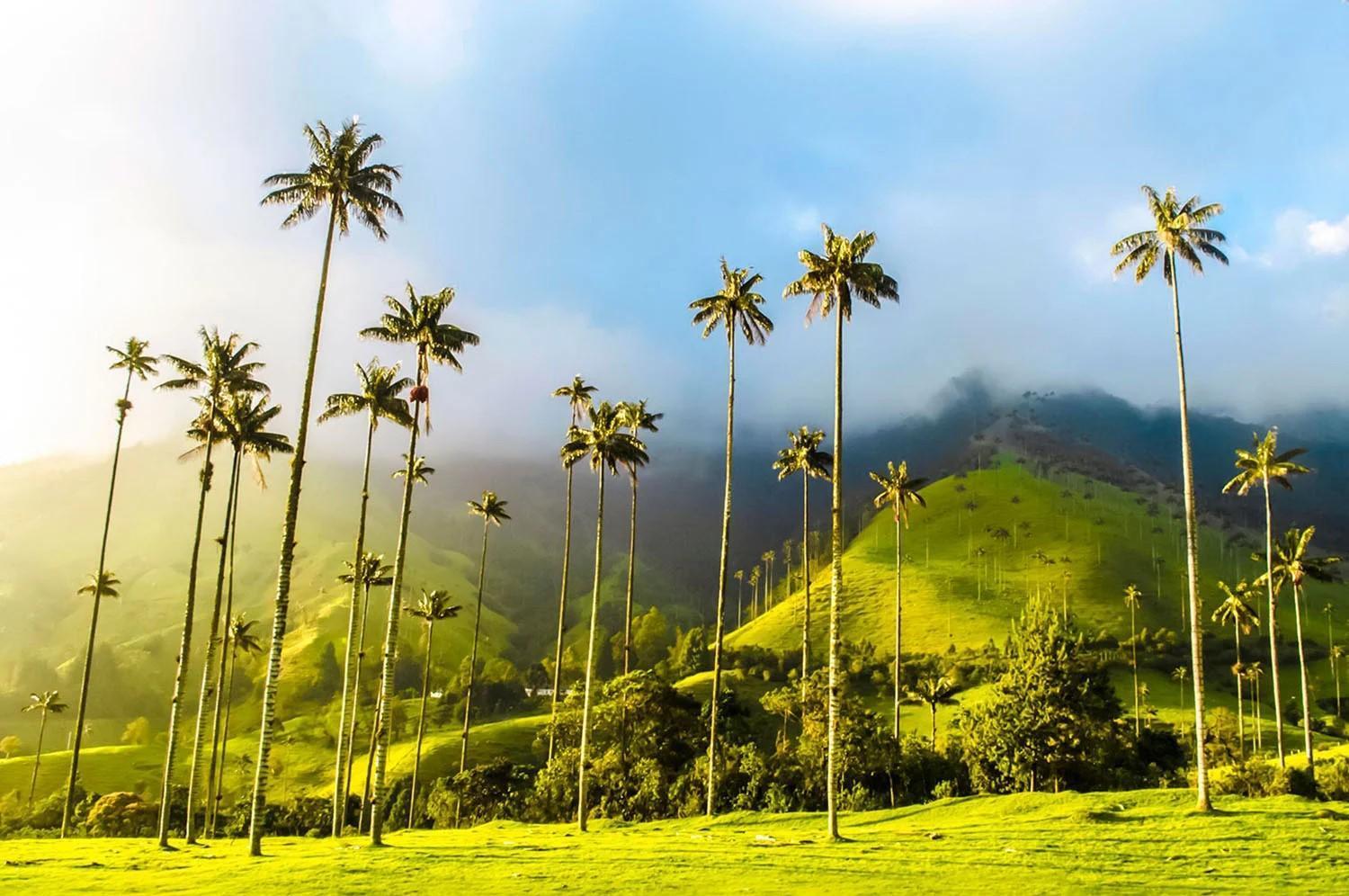 salento y valle del cocora