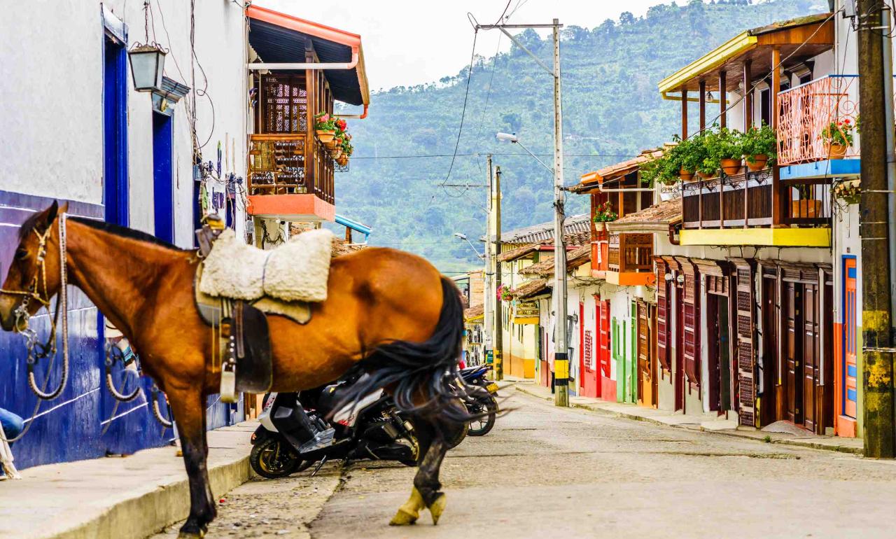 Cómo llegar a Salento desde Pereira