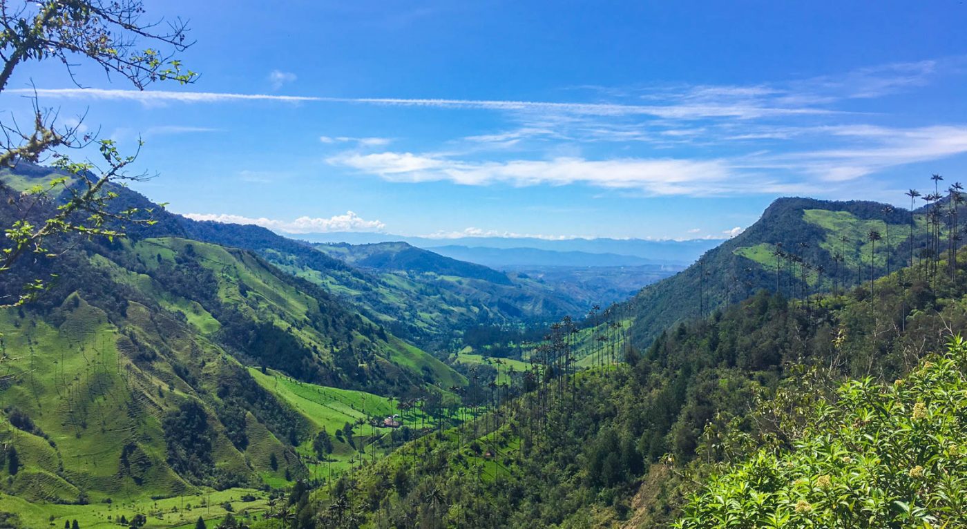 Salento y Valle del Cocora