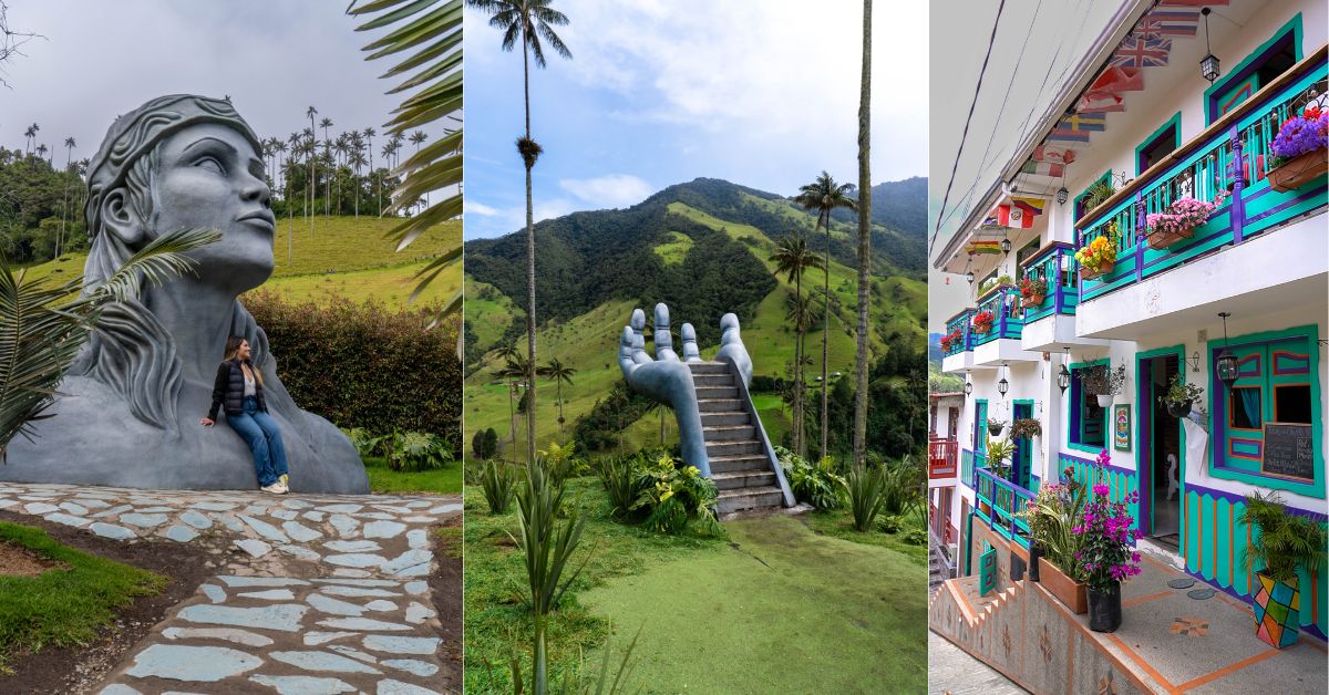 Salento y Valle del Cocora