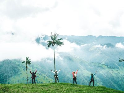 Salento y Valle del Cocora