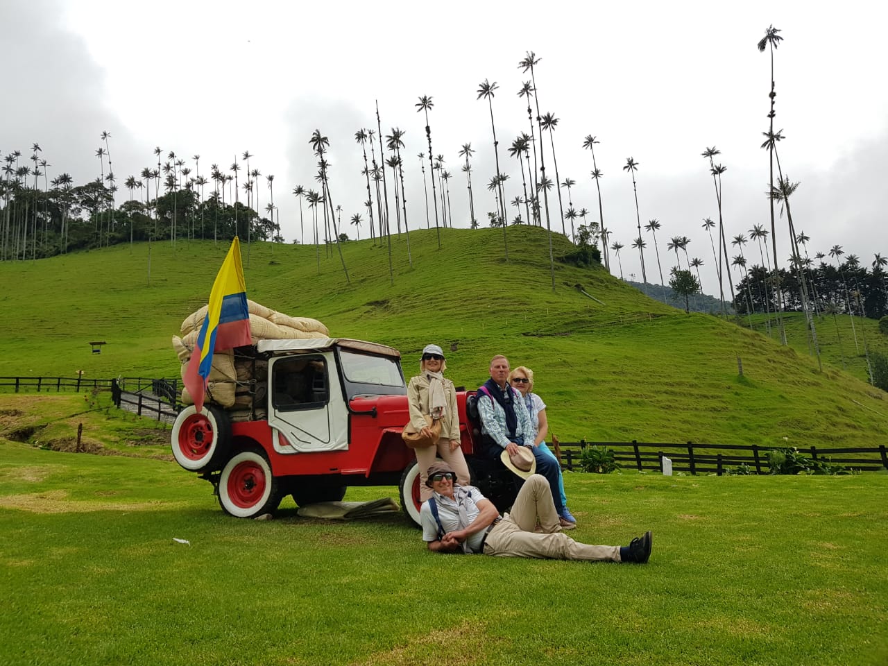 Tour al Valle del Cocora desde Salento
