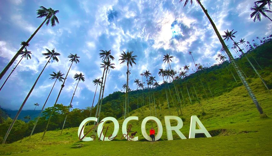 Tour al Valle del Cocora desde Salento