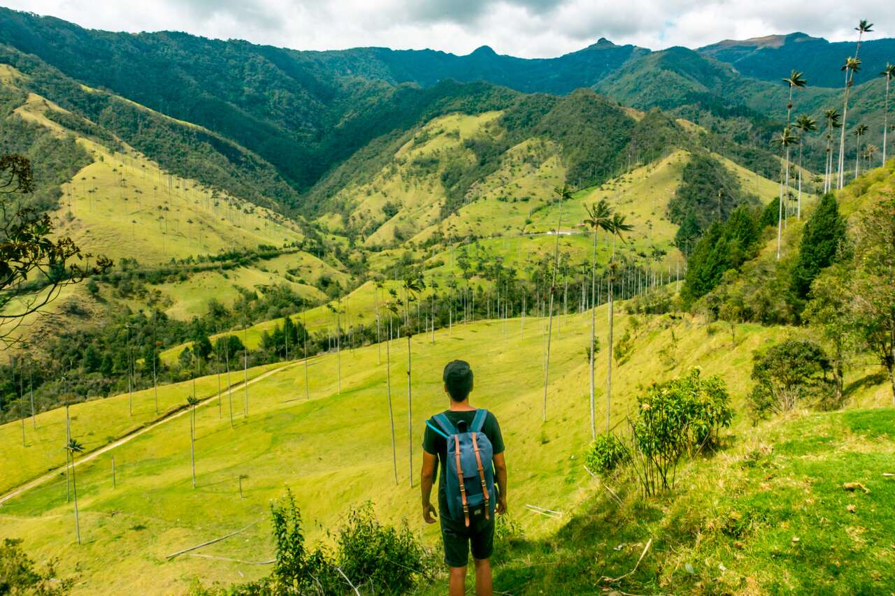 Tour al Valle del Cocora desde Salento 