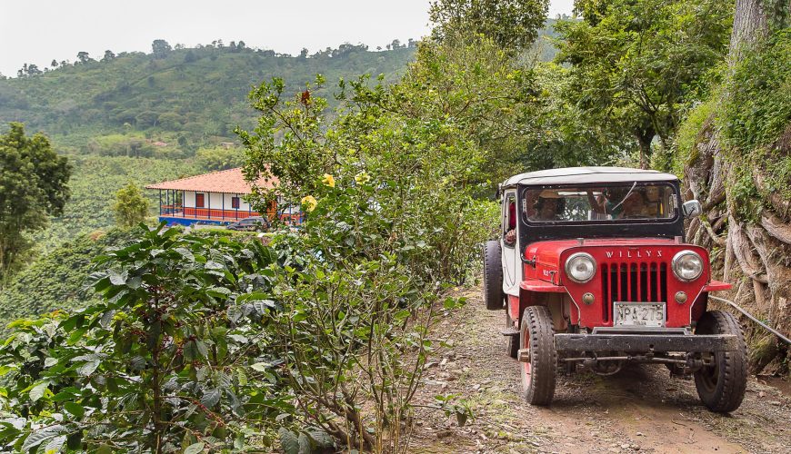 historia de risaralda