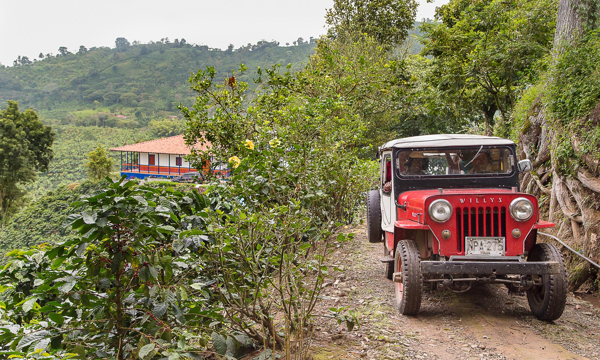 historia de risaralda
