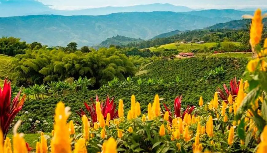 Reserva los mejores tours, actividades y atracciones turísticas de Colombia