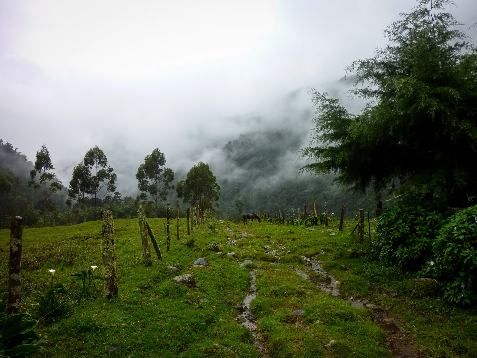Santuario Risaralda