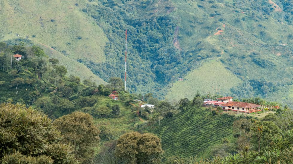 Santuario Risaralda