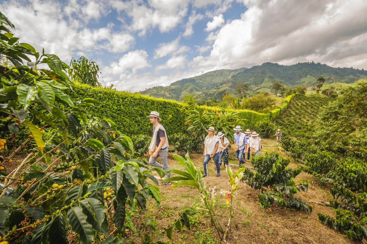 qué hacer en risaralda