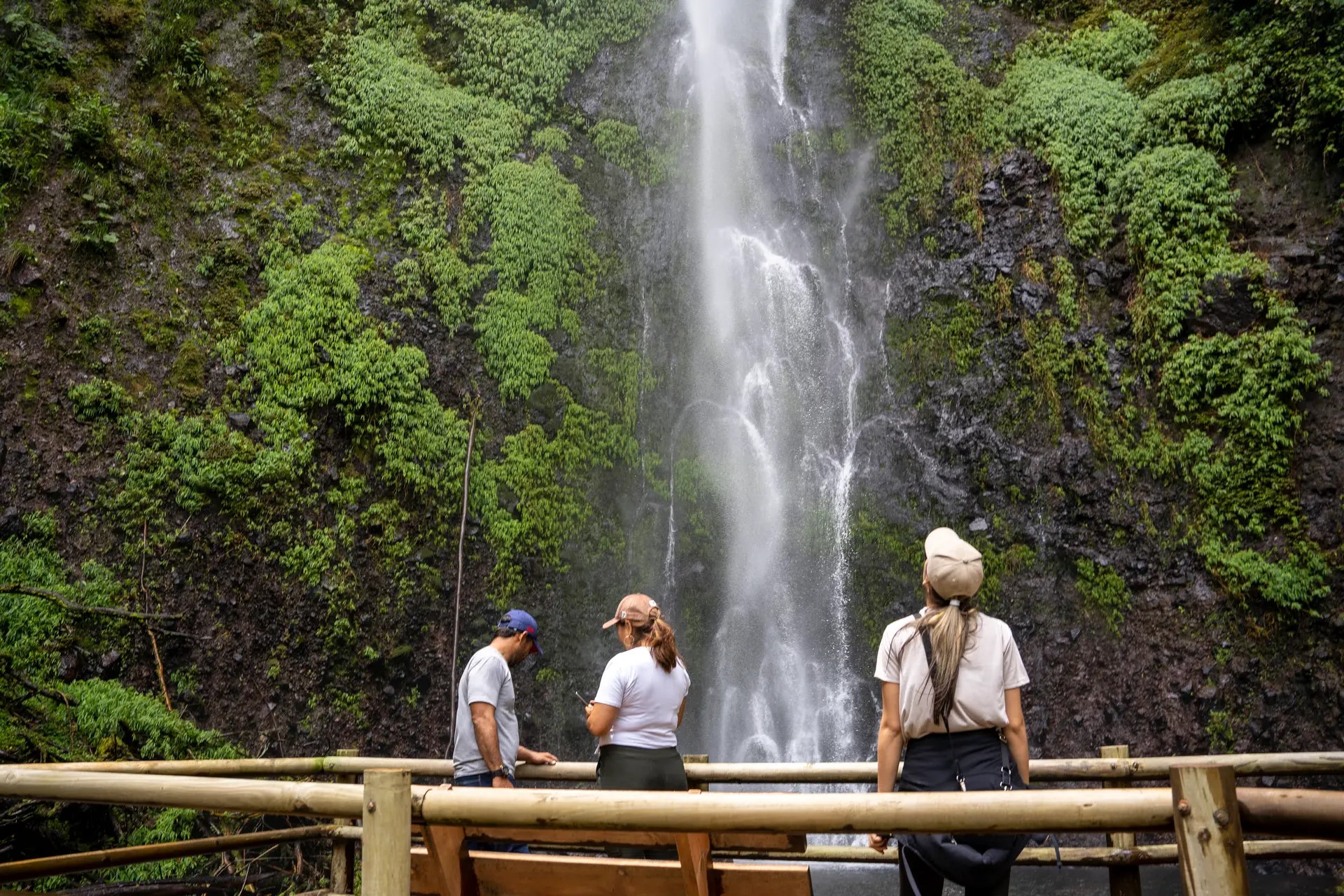 turismo en risaralda