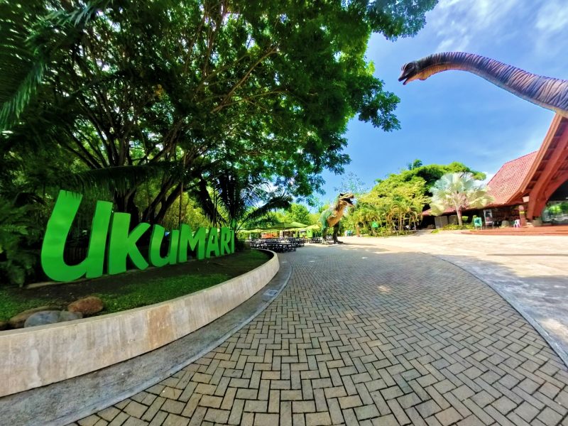 Reserva los mejores tours, actividades y atracciones turísticas de Colombia