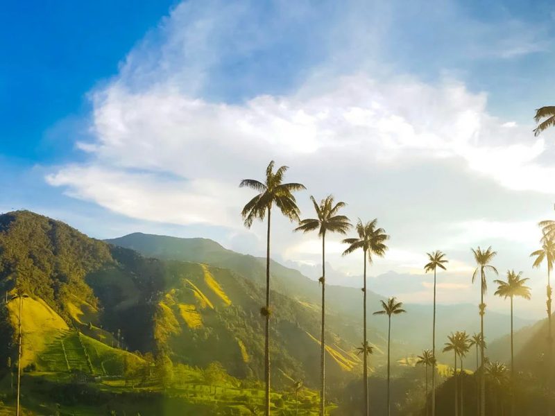 Reserva los mejores tours, actividades y atracciones turísticas de Colombia