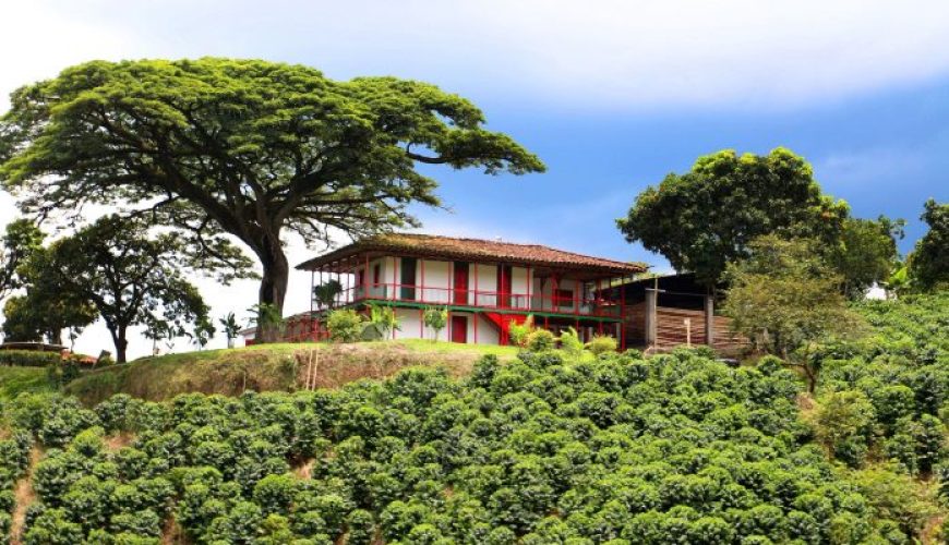 Reserva los mejores tours, actividades y atracciones turísticas de Colombia