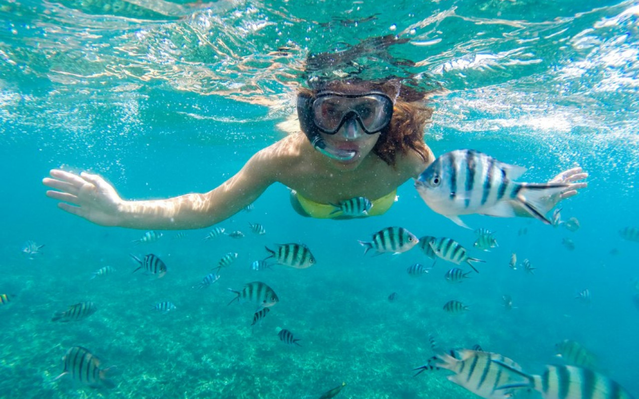 Cuáles son las Islas del Rosario