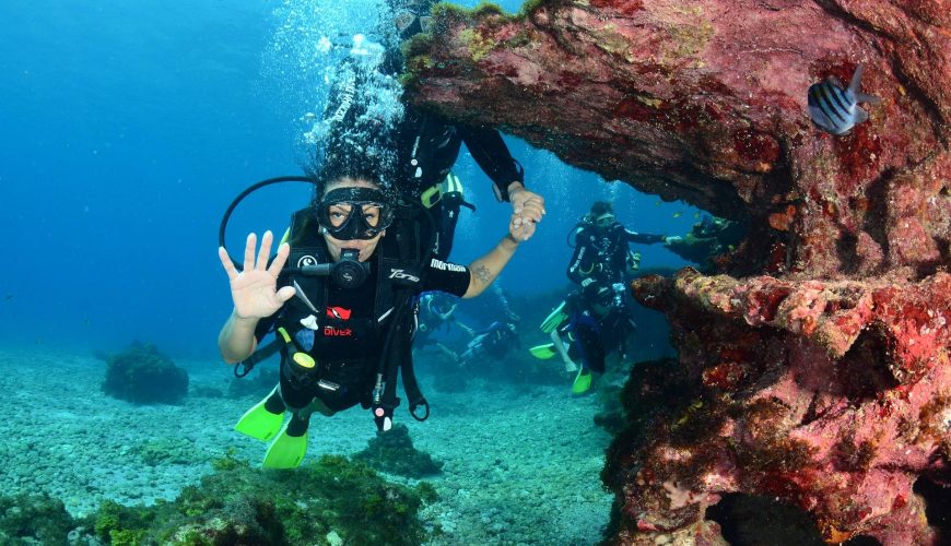 Reserva los mejores tours, actividades y atracciones turísticas de Colombia