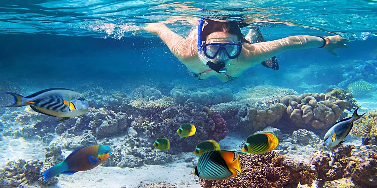 Tour a Islas del Rosario y Playa Blanca