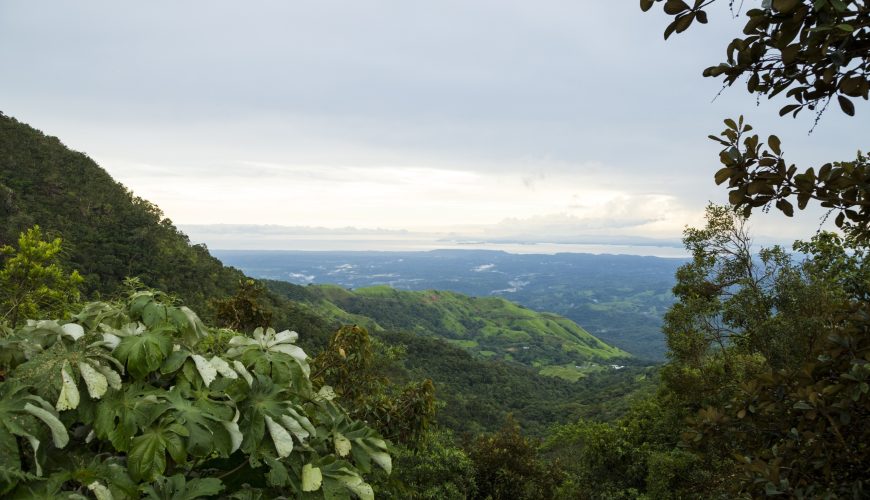 Reserva los mejores tours, actividades y atracciones turísticas de Colombia
