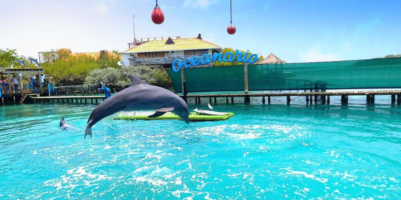 Tour con Oceanario en Islas del Rosario