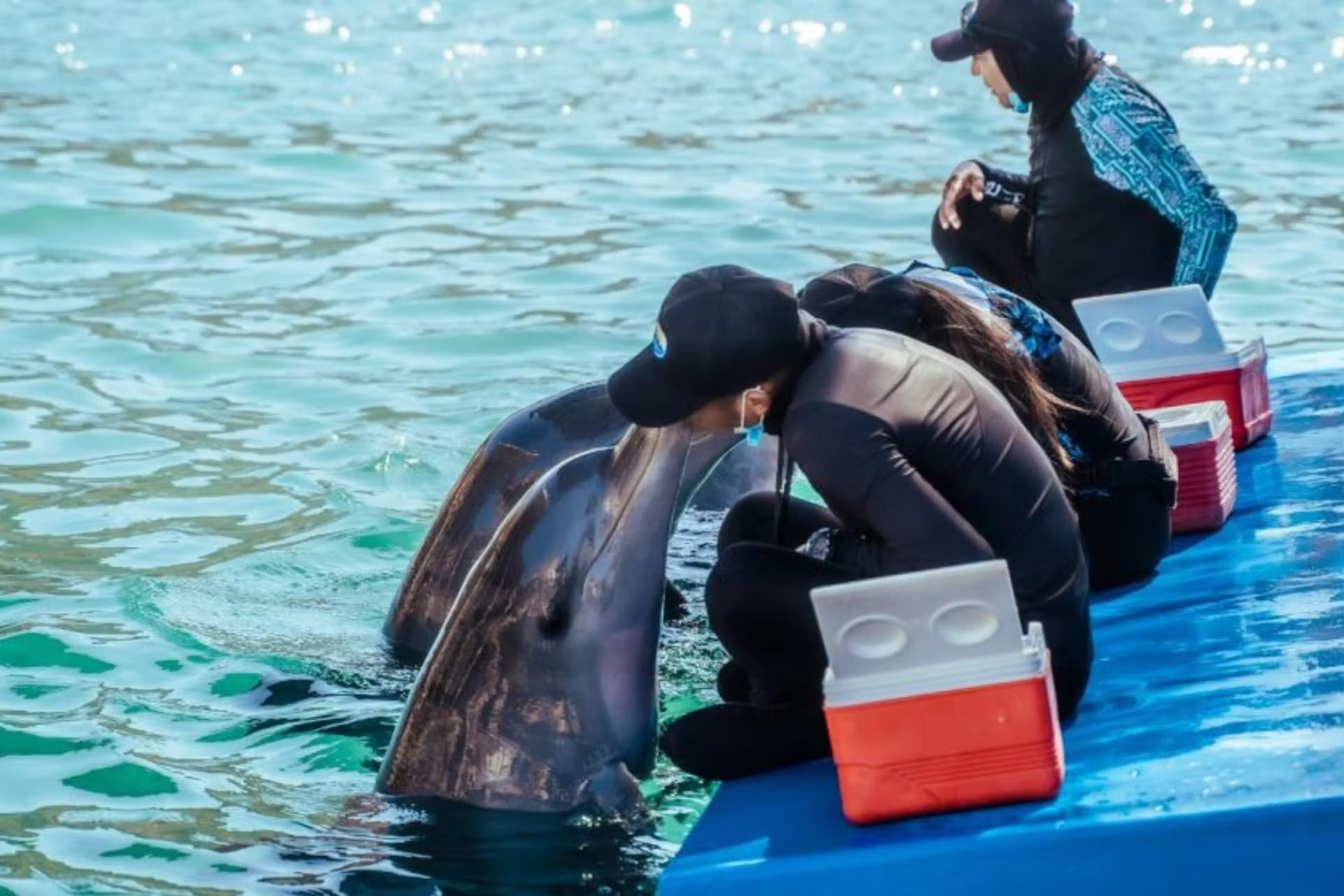 Tour con Oceanario en Islas del Rosario
